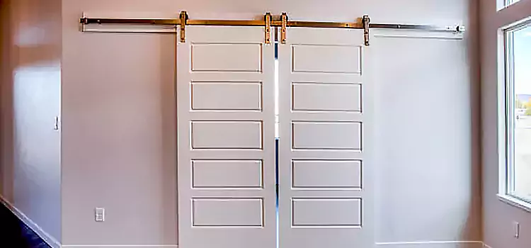 Glass Barn Door with Installation Hardware Kit Blythe